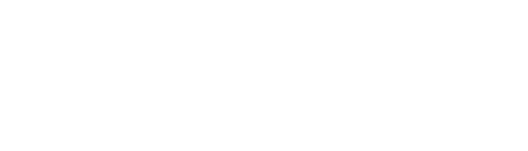 Teanit Logo